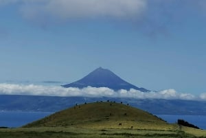 São Jorge Island Tour med tilvalg af snorkling og vandretur