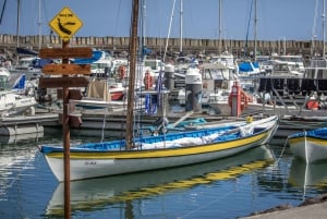 São Miguel: Azorernas valfångsttur