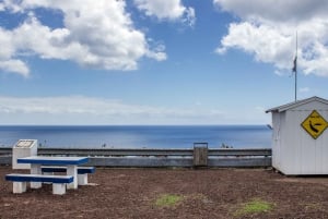 São Miguel: Azorernas valfångsttur