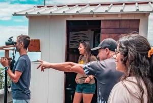 São Miguel: Azorernas valfångsttur