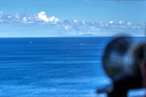 São Miguel: Azorernas valfångsttur