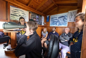 São Miguel: Azorernas valfångsttur