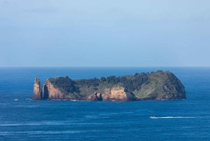 São Miguel: Azorernas valfångsttur