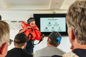 São Miguel: crociera per avvistare le balene con un biologo marino