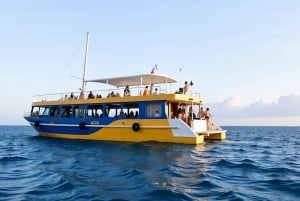 São Miguel, Azorerne: Hval- og delfinsafari