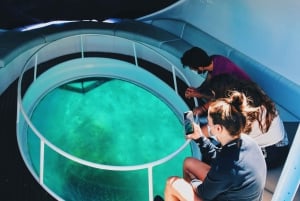 São Miguel: Passeio de Barco c/ Fundo de Vidro e Snorkel