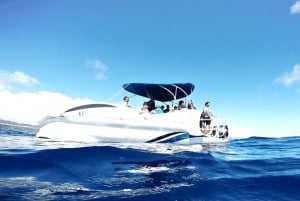 São Miguel: Passeio de Barco c/ Fundo de Vidro e Snorkel