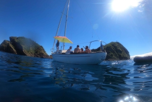 São Miguel: Hoogtepunten van het eiland Privétour per boot en busje
