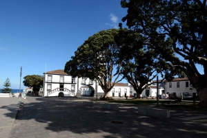 São Miguel: Hoogtepunten van het eiland Privétour per boot en busje