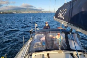 São Miguel: Hoogtepunten van het eiland Privétour per boot en busje