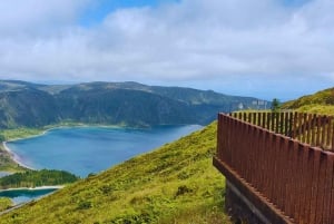 São Miguel: Majestätiska norra turen (vattenfall med lunch)
