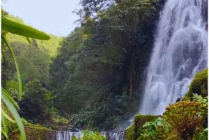 São Miguel: Majestätiska norra turen (vattenfall med lunch)