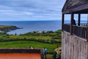 São Miguel: Majestätiska norra turen (vattenfall med lunch)