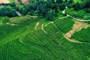 São Miguel: Majestätiska norra turen (vattenfall med lunch)