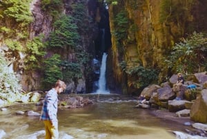 São Miguel: Majestätiska norra turen (vattenfall med lunch)