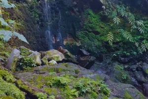 São Miguel: Majestätiska norra turen (vattenfall med lunch)