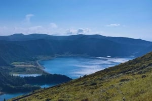 São Miguel: Majestätiska norra turen (vattenfall med lunch)