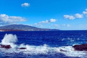 São Miguel: Majestätiska norra turen (vattenfall med lunch)