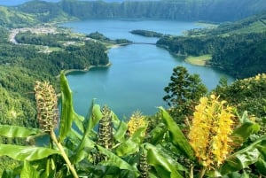 São Miguel: Sete Cidades og ananasplantasjetur