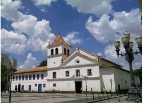 São Paulo: 5 timmars stadsvandring med fruktprovning