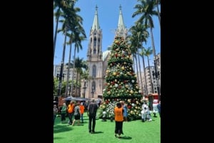 São Paulo: 5 timmars stadsvandring med fruktprovning