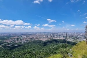 São Paulo: Vandretur i Jaraguá-parken med picnic i Atlanterhavsskoven