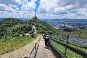 São Paulo: Vandretur i Jaraguá-parken med picnic i Atlanterhavsskoven