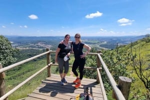 São Paulo: Vandretur i Jaraguá-parken med picnic i Atlanterhavsskoven