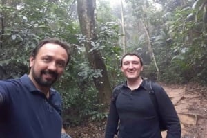 São Paulo: Vandretur i Jaraguá-parken med picnic i Atlanterhavsskoven