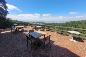 São Paulo: Cantareiran luonnonpuisto: Opastettu sademetsäretki