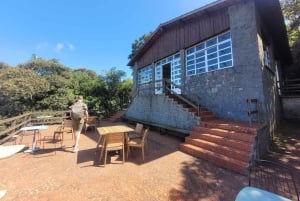 São Paulo: Cantareiran luonnonpuisto: Opastettu sademetsäretki