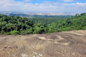 São Paulo: Cantareiran luonnonpuisto: Opastettu sademetsäretki