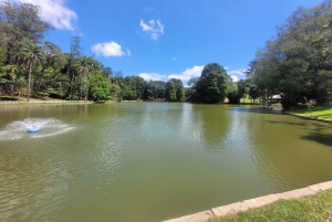 São Paulo: Cantareiran luonnonpuisto: Opastettu sademetsäretki