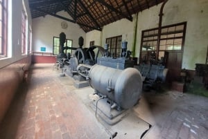 São Paulo: Cantareiran luonnonpuisto: Opastettu sademetsäretki