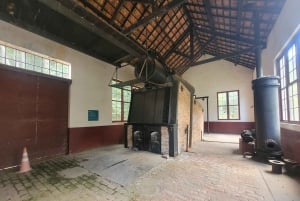 São Paulo: Cantareiran luonnonpuisto: Opastettu sademetsäretki