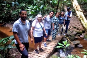 São Paulo: Cantareiran luonnonpuisto: Opastettu sademetsäretki