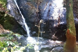 São Paulo: Cantareiran luonnonpuisto: Opastettu sademetsäretki