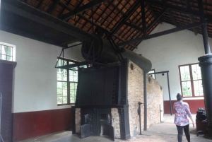 São Paulo: Cantareiran luonnonpuisto: Opastettu sademetsäretki