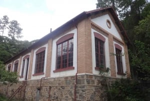 São Paulo: Cantareiran luonnonpuisto: Opastettu sademetsäretki