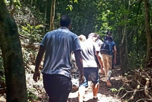 São Paulo: Cantareiran luonnonpuisto: Opastettu sademetsäretki