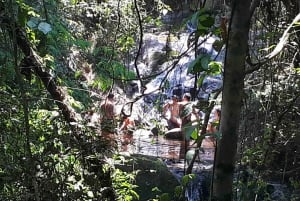 São Paulo: Cantareiran luonnonpuisto: Opastettu sademetsäretki