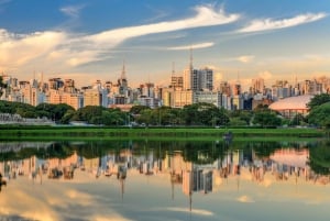 Miasto São Paulo: 5-godzinna prywatna wycieczka