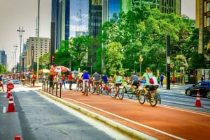 Miasto São Paulo: 5-godzinna prywatna wycieczka