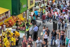 Miasto São Paulo: 5-godzinna prywatna wycieczka