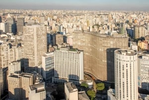 Miasto São Paulo: 5-godzinna prywatna wycieczka