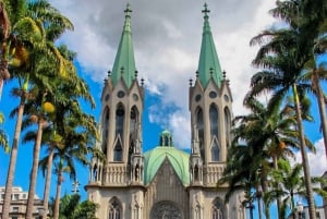 Miasto São Paulo: 5-godzinna prywatna wycieczka