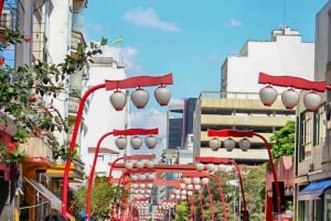 Miasto São Paulo: 5-godzinna prywatna wycieczka