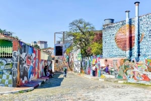 Miasto São Paulo: 5-godzinna prywatna wycieczka