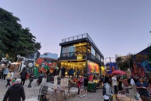 Sao Paulo: Byens højdepunkter og LGBTQIA+-scene Privat tur