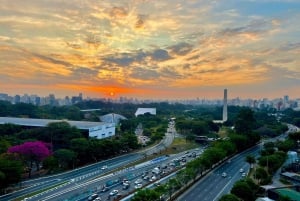 Sao Paulo: Byens højdepunkter og LGBTQIA+-scene Privat tur